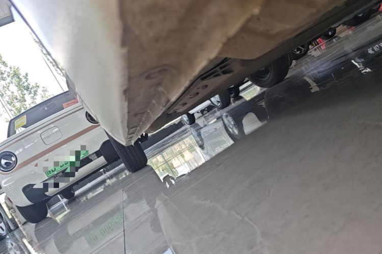 Used ORA Black Cat 2021 301 km Basic Version Right Side Sill