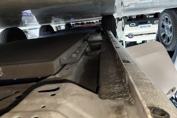 Used ORA Black Cat 2021 301km Cute Pet Edition Right Side Sill