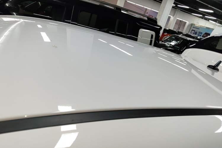 Used ORA Black Cat 2021 301km Cute Pet Edition Roof