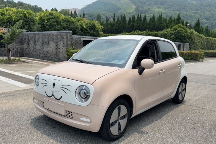 Used ORA Black Cat 2021 301km Cute Pet Edition Guazi used car, China used car export, Used car for sale, Used  cars, Cheapest cars for sale