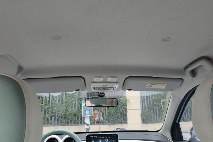 Used ORA Black Cat 2021 301 km Basic Version Headliner