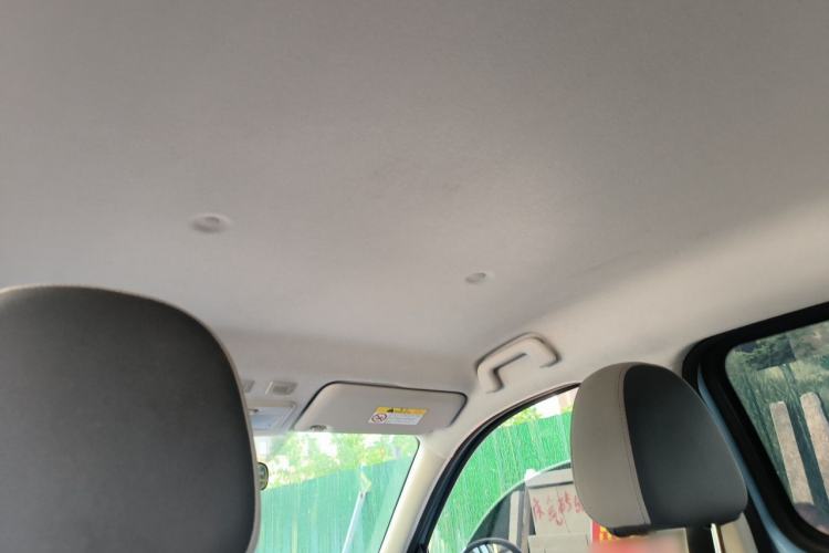 Used ORA Black Cat 2021 301km Cute Pet Edition Headliner