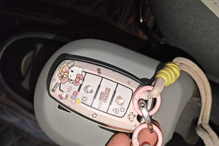 Used ORA Black Cat 2021 301km Cute Pet Edition Vehicle Key