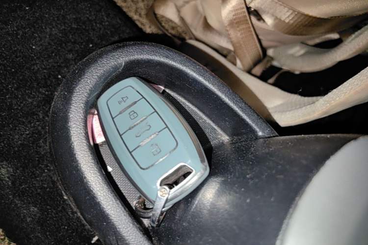 Used ORA Black Cat 2021 301 km Basic Version Vehicle Key