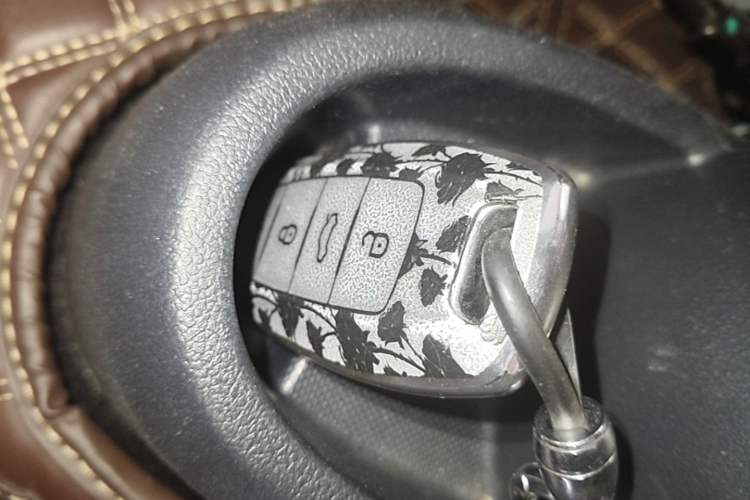 Used ORA Black Cat 2021 351 km Standard Version Vehicle Key