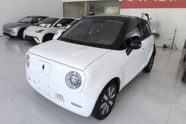 Used ORA Black Cat 2021 351 km Standard Version