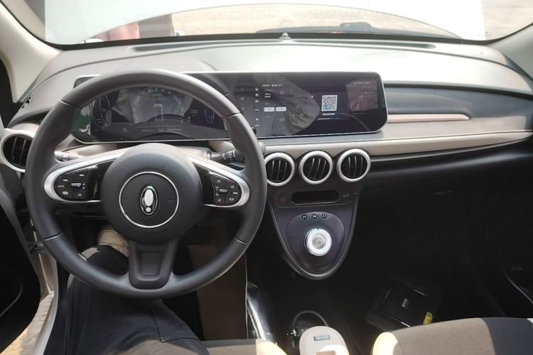 Used ORA Black Cat 2021 351 km Luxury Version Center Console