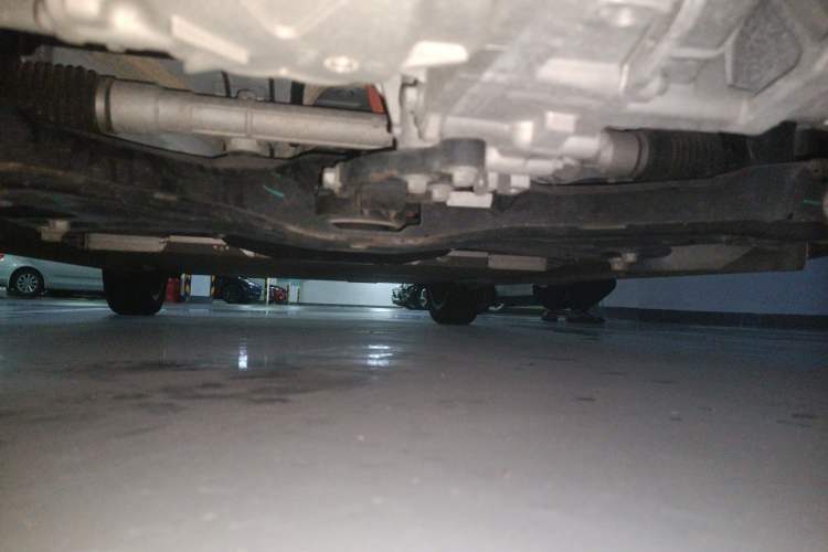 Used ORA Black Cat 2021 351 km Luxury Version Chassis Front