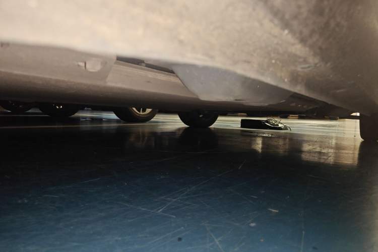 Used ORA Black Cat 2021 351 km Luxury Version Chassis Rear Right