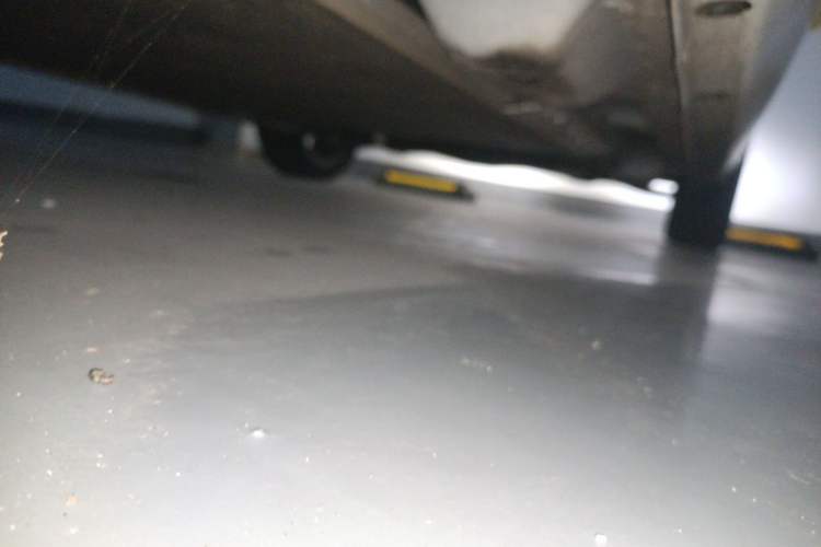 Used ORA Black Cat 2021 351 km Luxury Version Chassis Rear Right