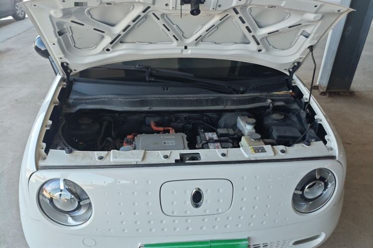 Used ORA Black Cat 2021 351 km Standard Version Engine Bay