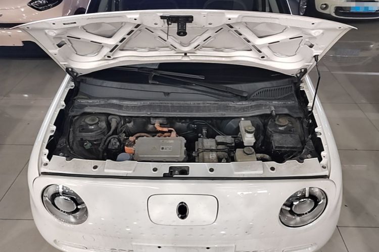 Used ORA Black Cat 2021 301km Cute Pet Edition Engine Bay