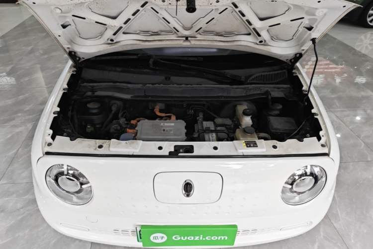 Used ORA Black Cat 2021 301km Cute Pet Edition Engine Bay