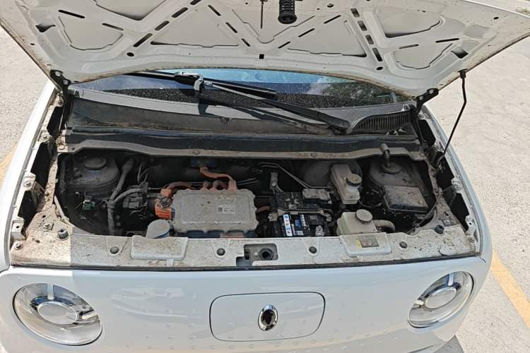 Used ORA Black Cat 2021 351 km Luxury Version Engine Bay