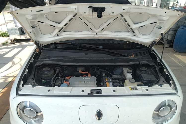 Used ORA Black Cat 2021 301 km Basic Version Engine Bay