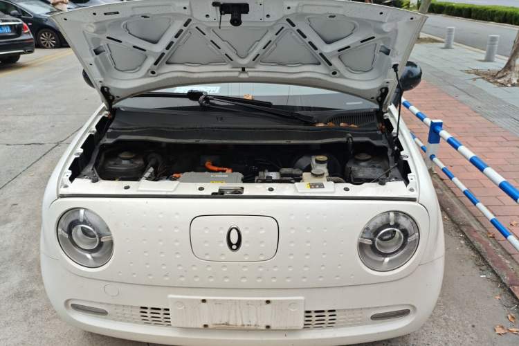 Used ORA Black Cat 2021 351 km Luxury Version Engine Bay