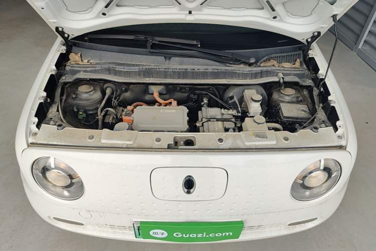 Used ORA Black Cat 2021 351 km Standard Version Engine Bay