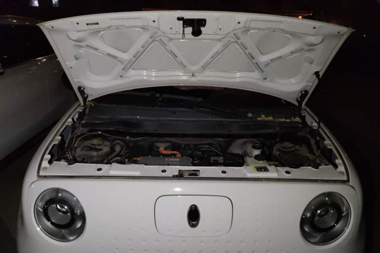 Used ORA Black Cat 2021 351 km Luxury Version Engine Bay