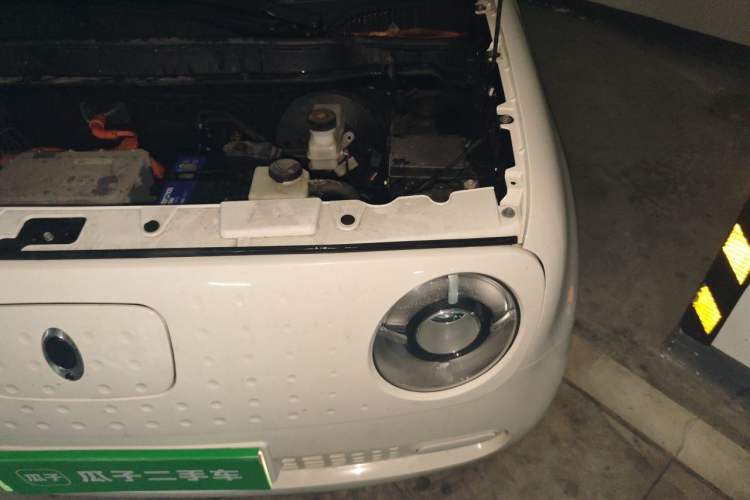 Used ORA Black Cat 2021 301km Cute Pet Edition Engine Bay Left