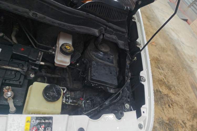 Used ORA Black Cat 2021 301km Cute Pet Edition Engine Bay Left