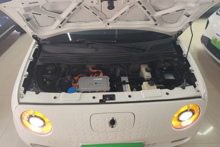 Used ORA Black Cat 2021 351 km Luxury Version Engine Bay