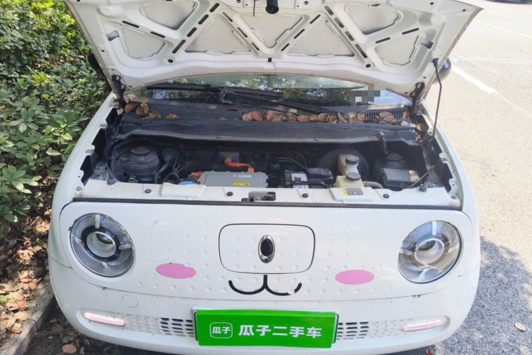 Used ORA Black Cat 2021 351 km Standard Version Engine Bay