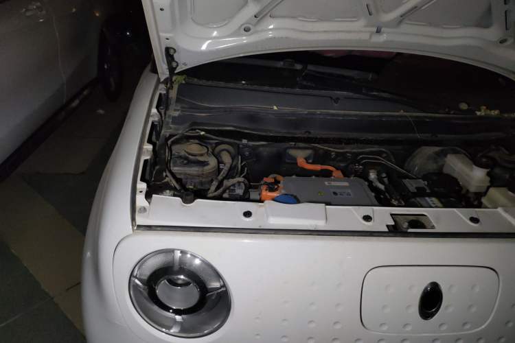 Used ORA Black Cat 2021 351 km Luxury Version Engine Bay Right