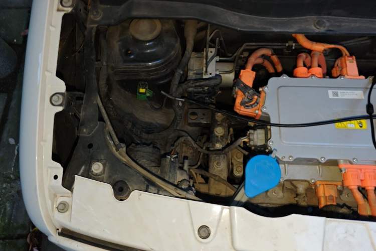 Used ORA Black Cat 2021 301km Cute Pet Edition Engine Bay Right