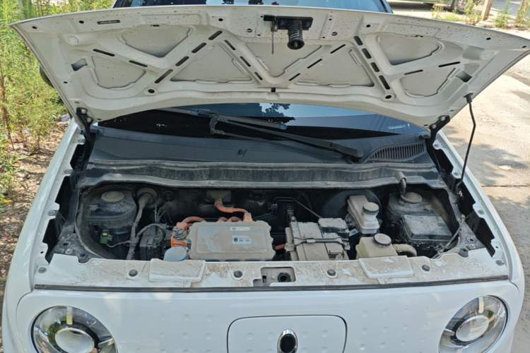 Used ORA Black Cat 2021 351 km Standard Version Engine Bay