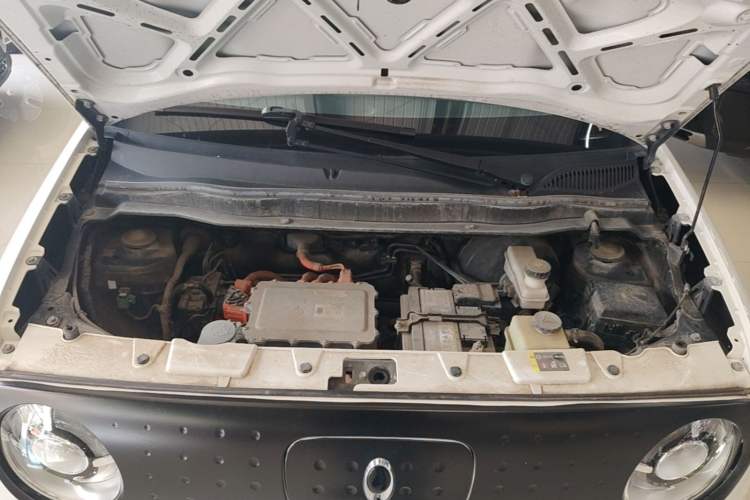 Used ORA Black Cat 2021 351 km Luxury Version Engine Bay
