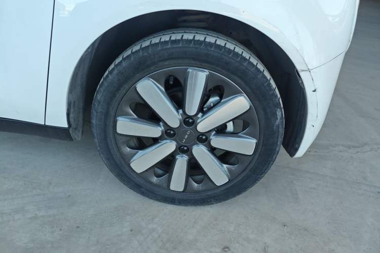 Used ORA Black Cat 2021 351 km Standard Version Exterior 1