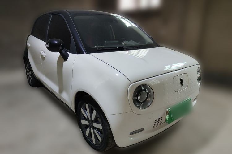 Used ORA Black Cat 2021 351 km Luxury Version Exterior 2