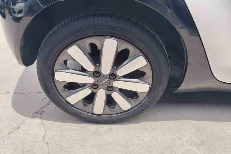 Used ORA Black Cat 2021 351 km Standard Version Exterior 5