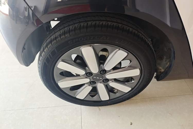 Used ORA Black Cat 2021 351 km Luxury Version Exterior 5