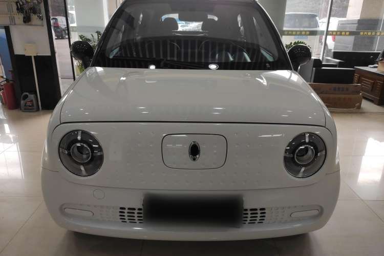 Used ORA Black Cat 2021 301 km Basic Version Front