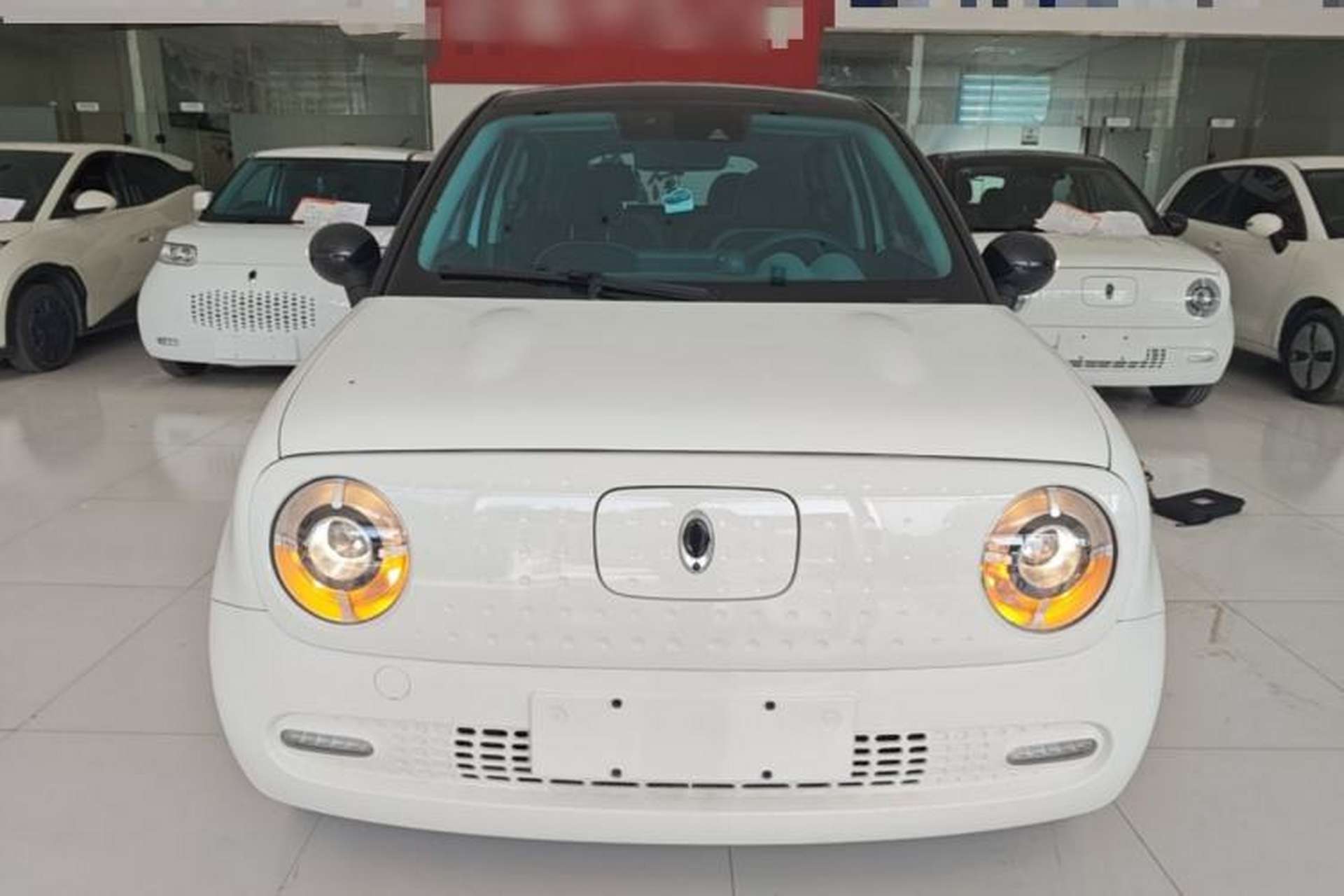 Used ORA Black Cat 2021 351 km Luxury Version Front
