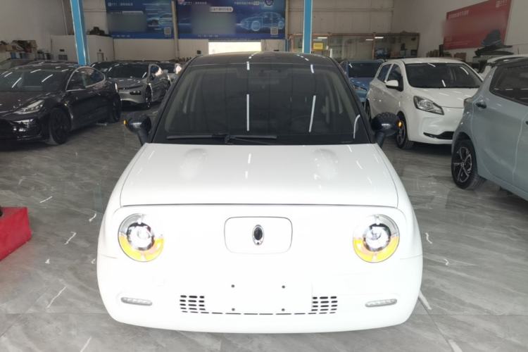 Used ORA Black Cat 2021 351 km Standard Version Front