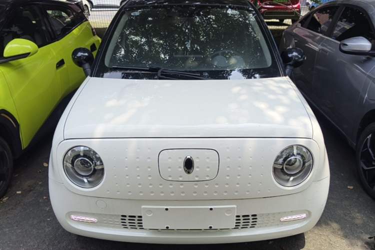 Used ORA Black Cat 2021 351 km Standard Version Front