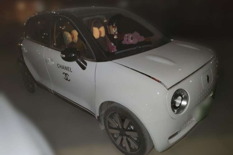 Used ORA Black Cat 2021 351 km Luxury Version Front Right 45 Deg
