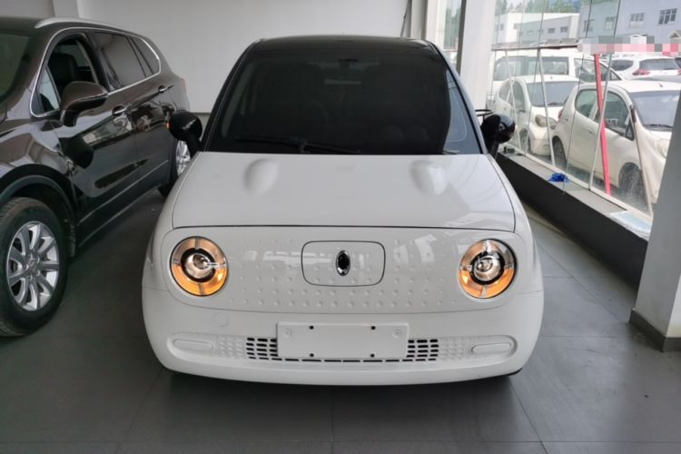 Used ORA Black Cat 2021 301 km Basic Version Front