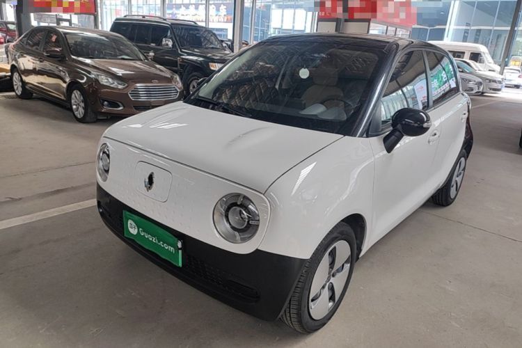 Used ORA Black Cat 2021 301 km Basic Version Guazi used car, China used car export, Used car for sale, Used  cars, Cheapest cars for sale