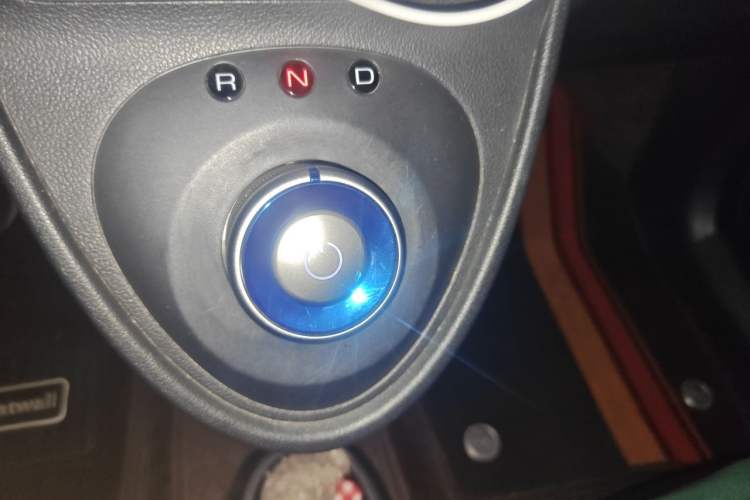 Used ORA Black Cat 2021 301 km Basic Version Gear Lever