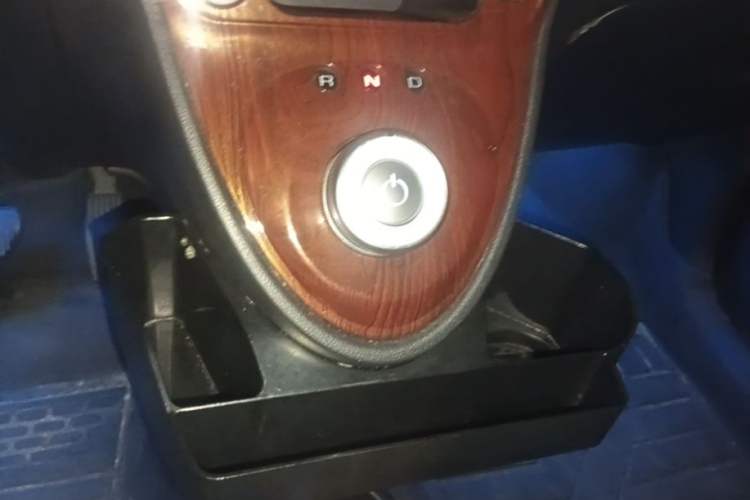 Used ORA Black Cat 2021 301 km Basic Version Gear Lever