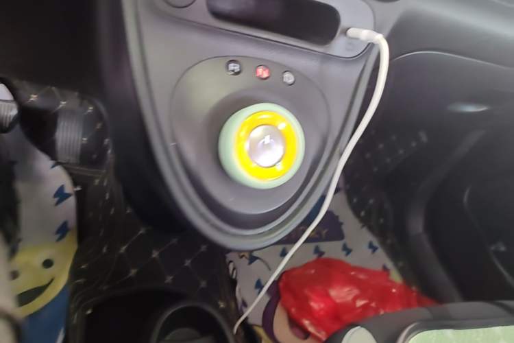 Used ORA Black Cat 2021 301 km Basic Version Gear Lever