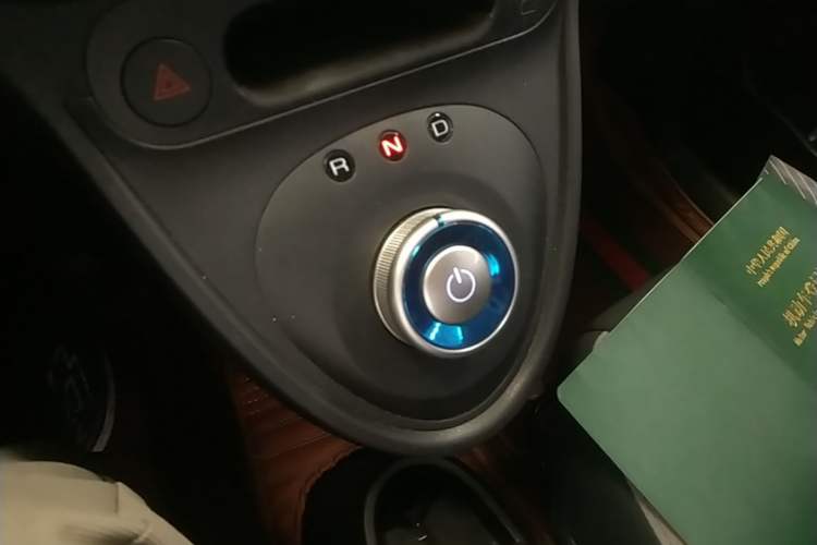 Used ORA Black Cat 2021 301 km Basic Version Gear Lever
