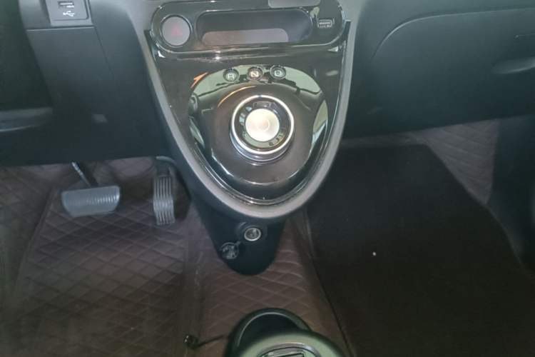Used ORA Black Cat 2021 301 km Basic Version Gear Lever