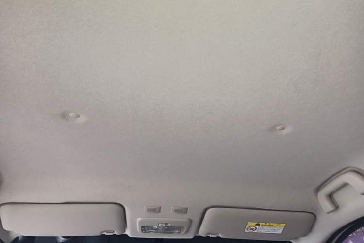 Used ORA Black Cat 2021 301km Cute Pet Edition Headliner
