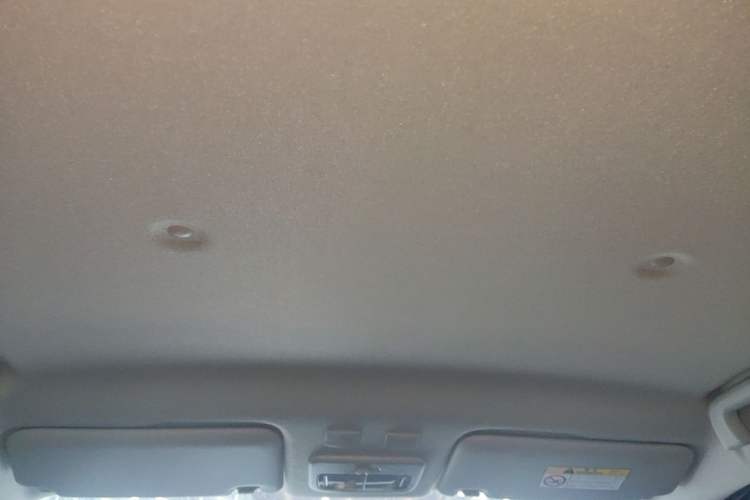 Used ORA Black Cat 2021 301 km Basic Version Headliner