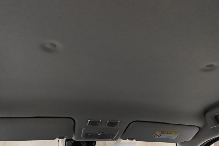 Used ORA Black Cat 2021 351 km Luxury Version Headliner