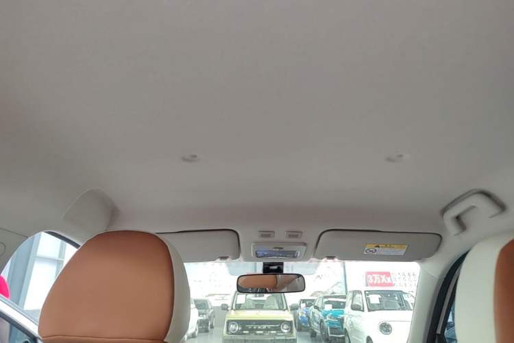 Used ORA Black Cat 2021 351 km Standard Version Headliner